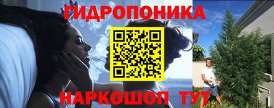 крисы Обь