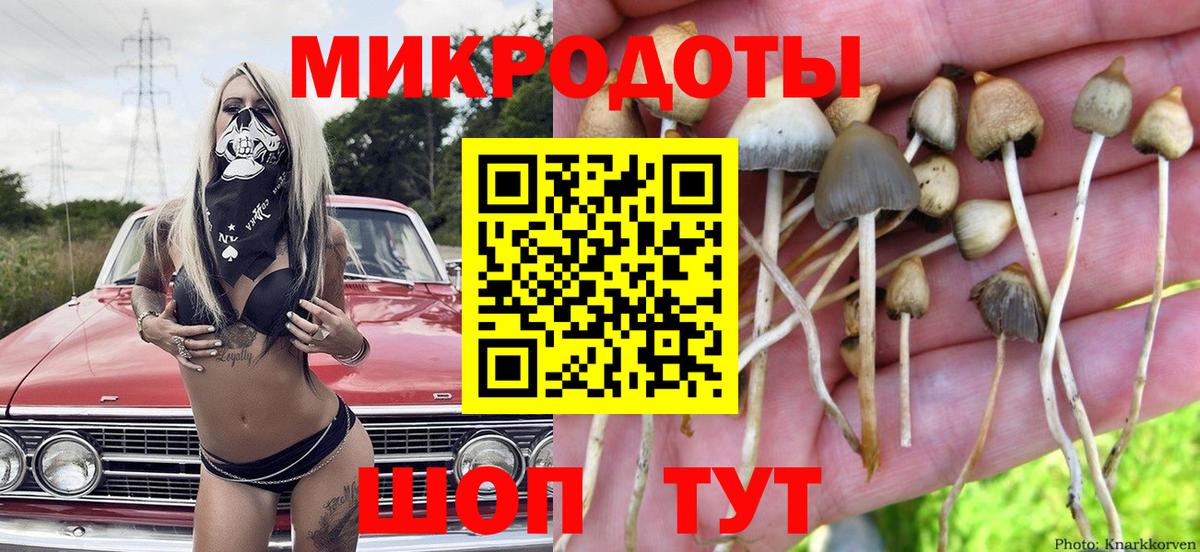 Галлюциногенные грибы GOLDEN TEACHER Соликамск