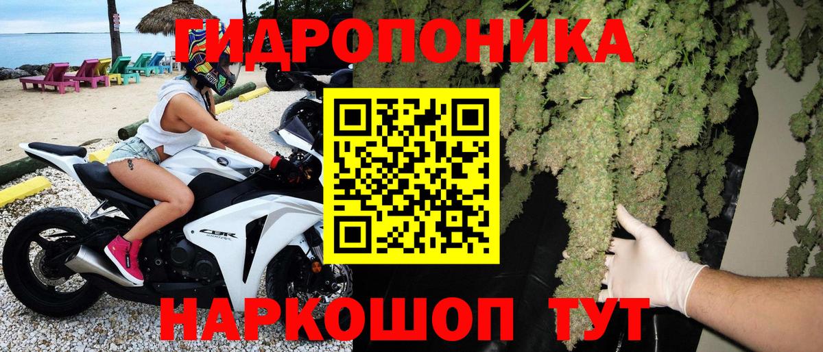 Канабис сатива Соликамск